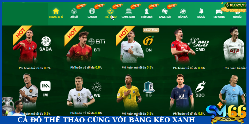 Cá độ thể thao cùng với bảng kèo xanh chín