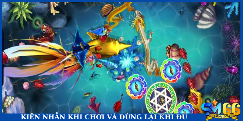 Kiên nhẫn khi chơi và dừng lại khi đủ