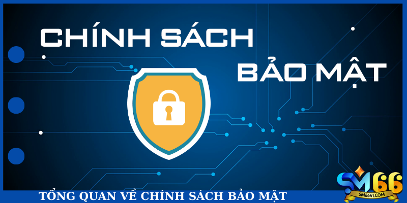 Tổng quan về chính sách bảo mật
