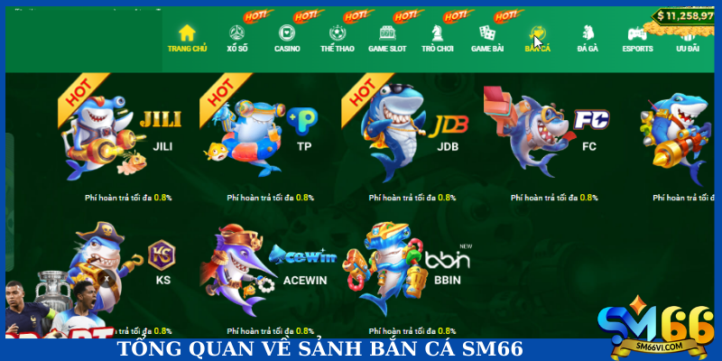 Tổng quan về sảnh bắn cá SM66
