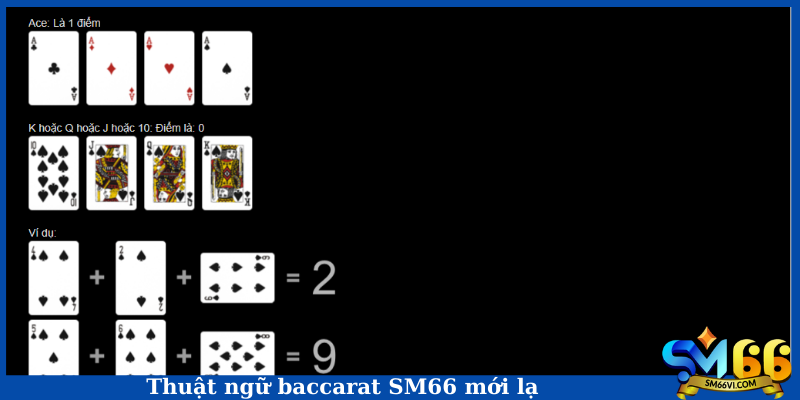 Thuật ngữ baccarat SM66 mới lạ