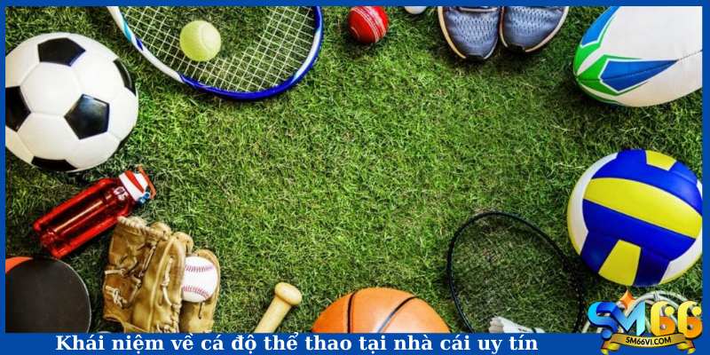 Khái niệm về cá độ thể thao tại nhà cái uy tín