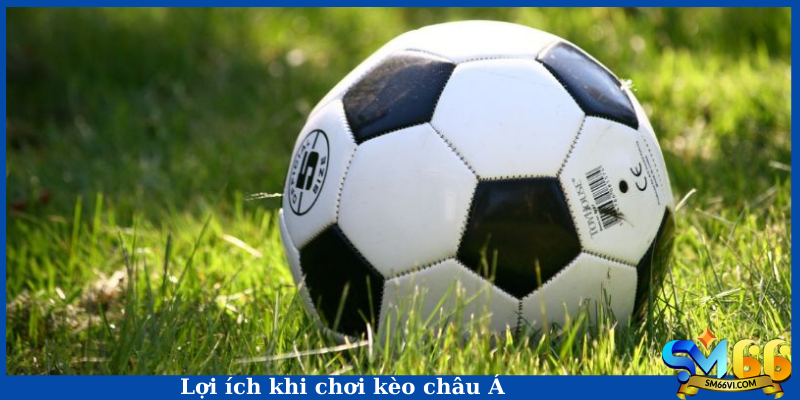 Lợi ích khi chơi kèo châu Á