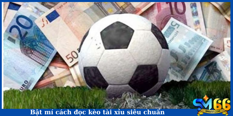Bật mí cách đọc kèo tài xỉu siêu chuẩn