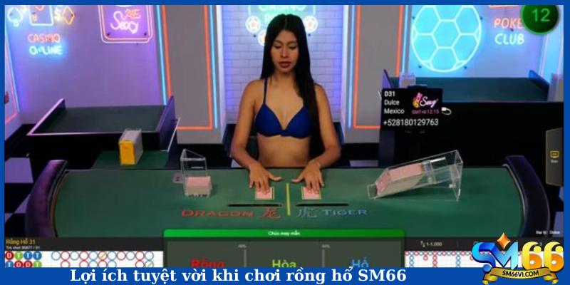 Lợi ích tuyệt vời khi chơi rồng hổ SM66