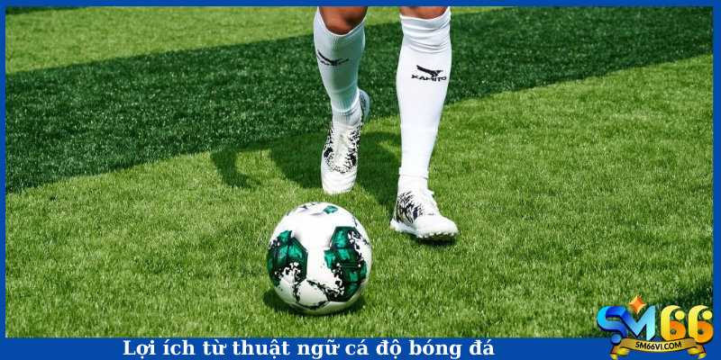 Lợi ích từ thuật ngữ cá độ bóng đá